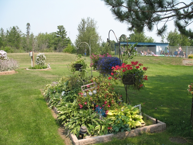 flowers2.jpg