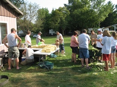 sweetcorn20131.jpg